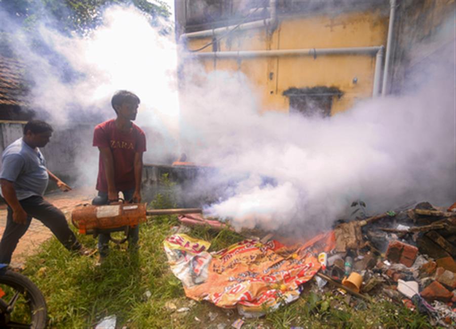 Dengue, swine flu cases surge in Tamil Nadu; doctors urge vigilance ahead of monsoon