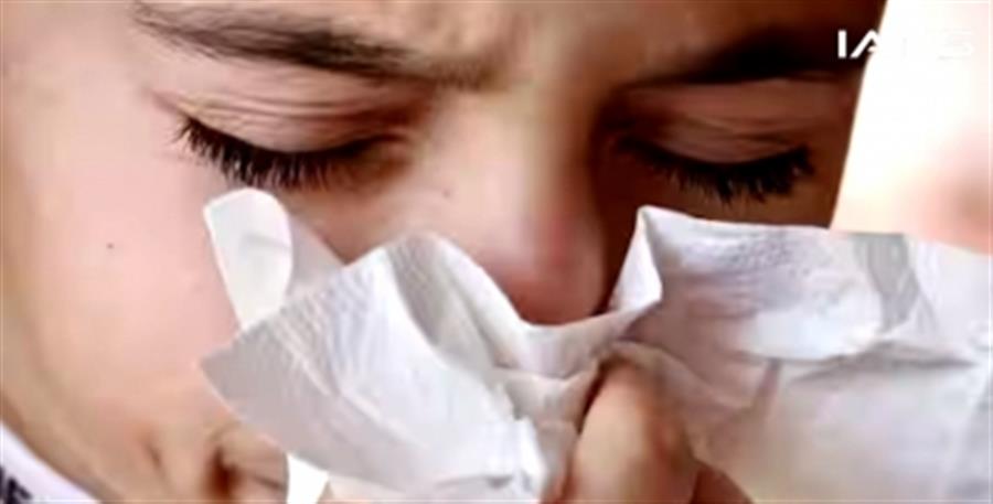 Flu cases remain at alert level in Japan