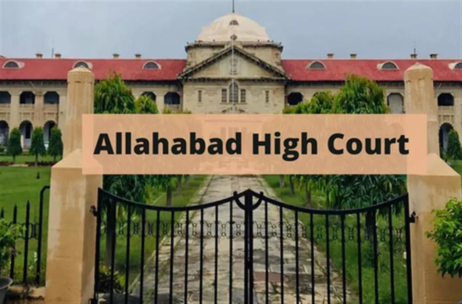 Terming minor tiffs 'cruelty' will end many marriages: Allahabad HC