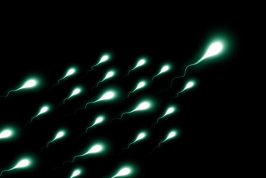 Covid-19 may temporarily affect sperm quality: Study