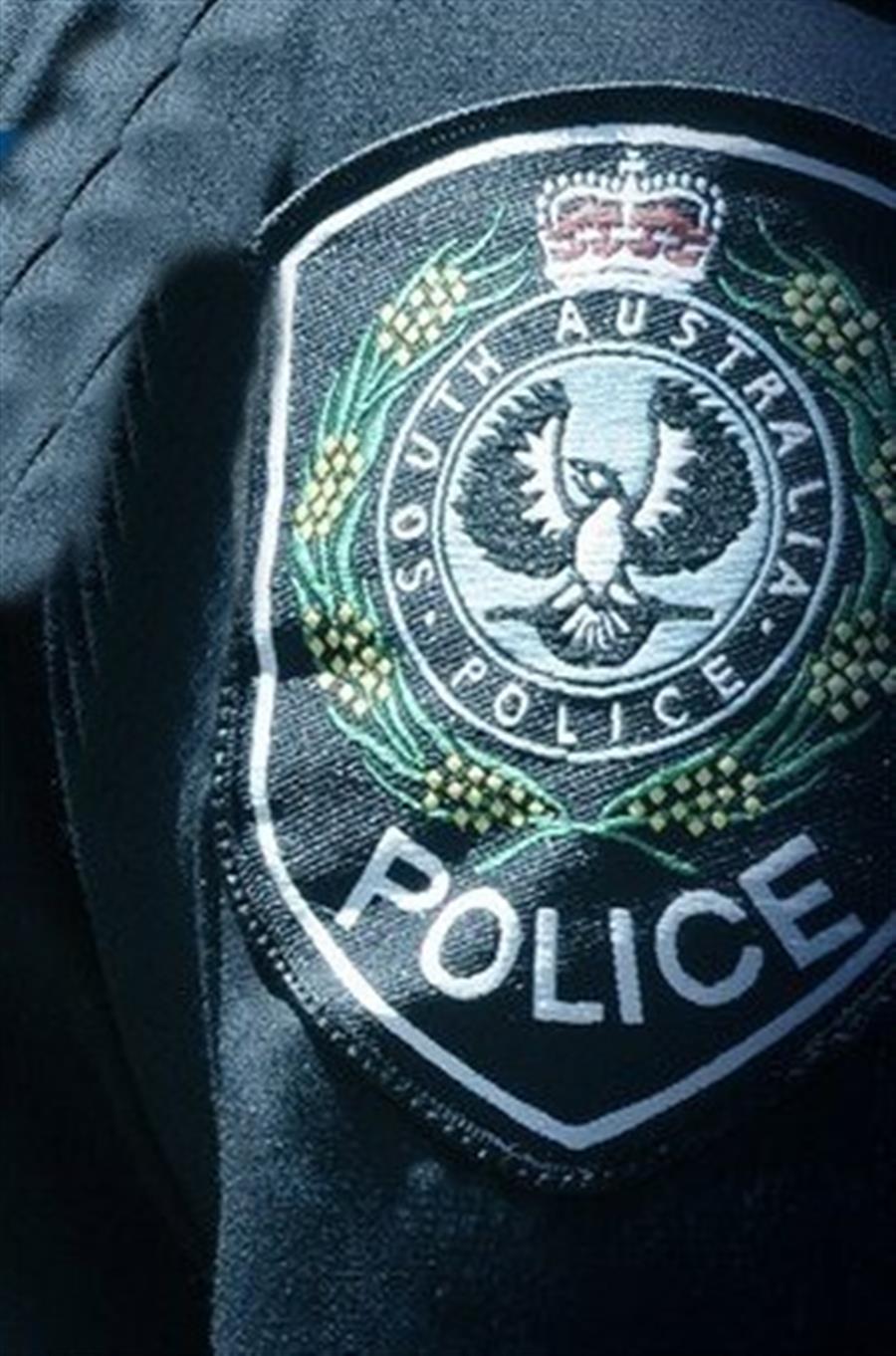 Teenager dies after stabbings near Australian school